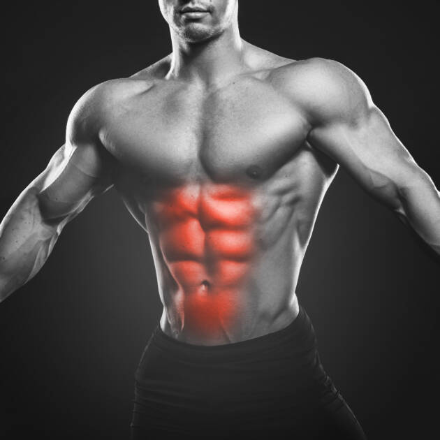ANATOMÍA, FISIOLOGÍA GENERAL Y DEL EJERCICIO