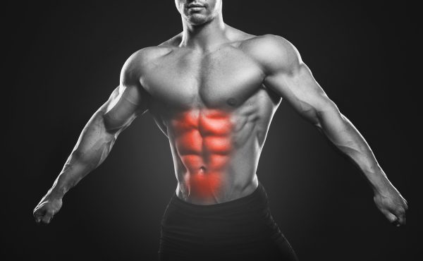 ANATOMÍA, FISIOLOGÍA GENERAL Y DEL EJERCICIO